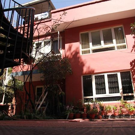 Ojas Wellness B&B ラリトプル エクステリア 写真