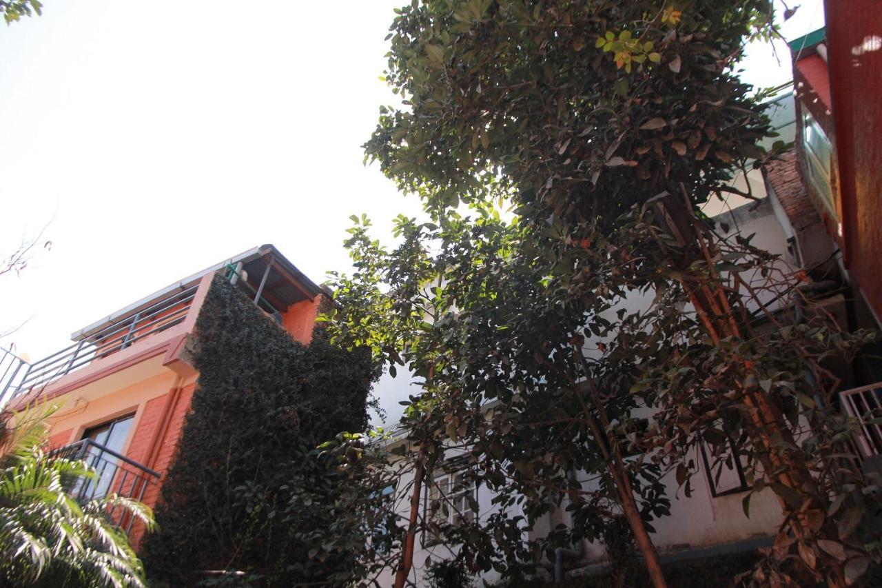 Ojas Wellness B&B ラリトプル エクステリア 写真
